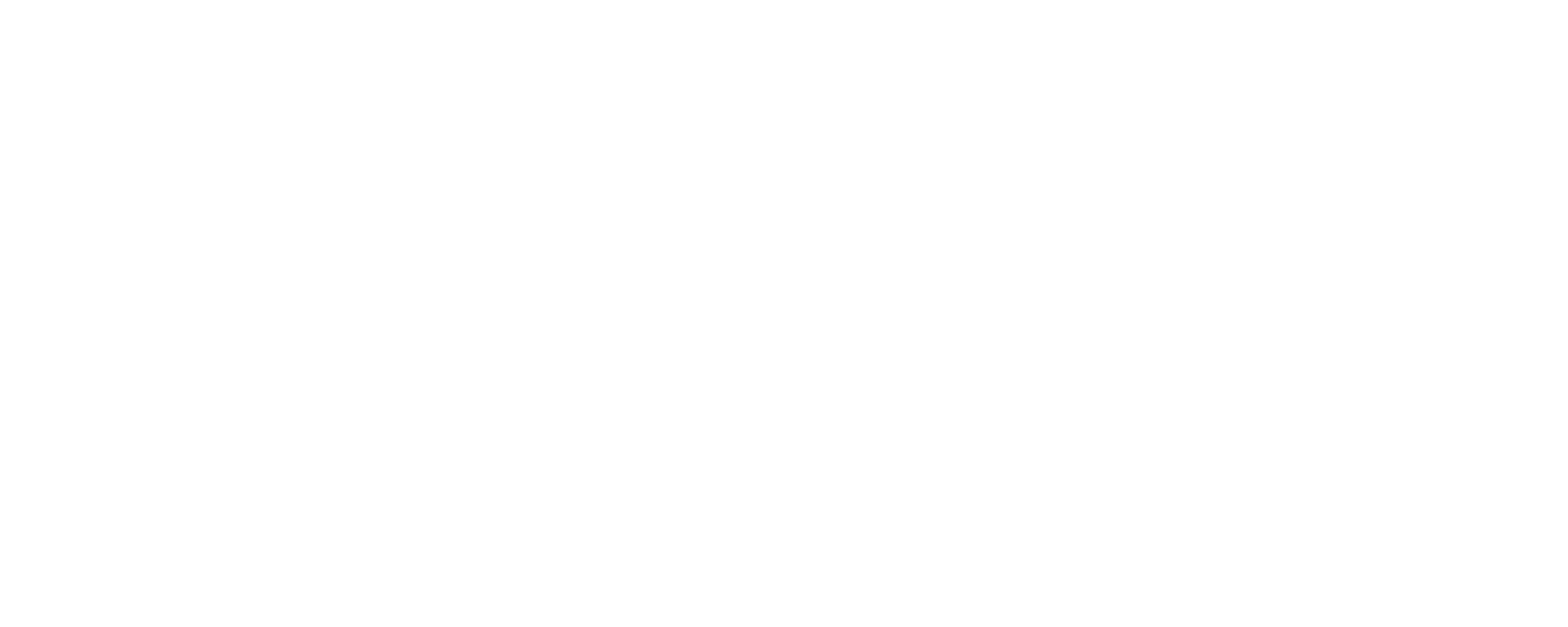 Wella Company